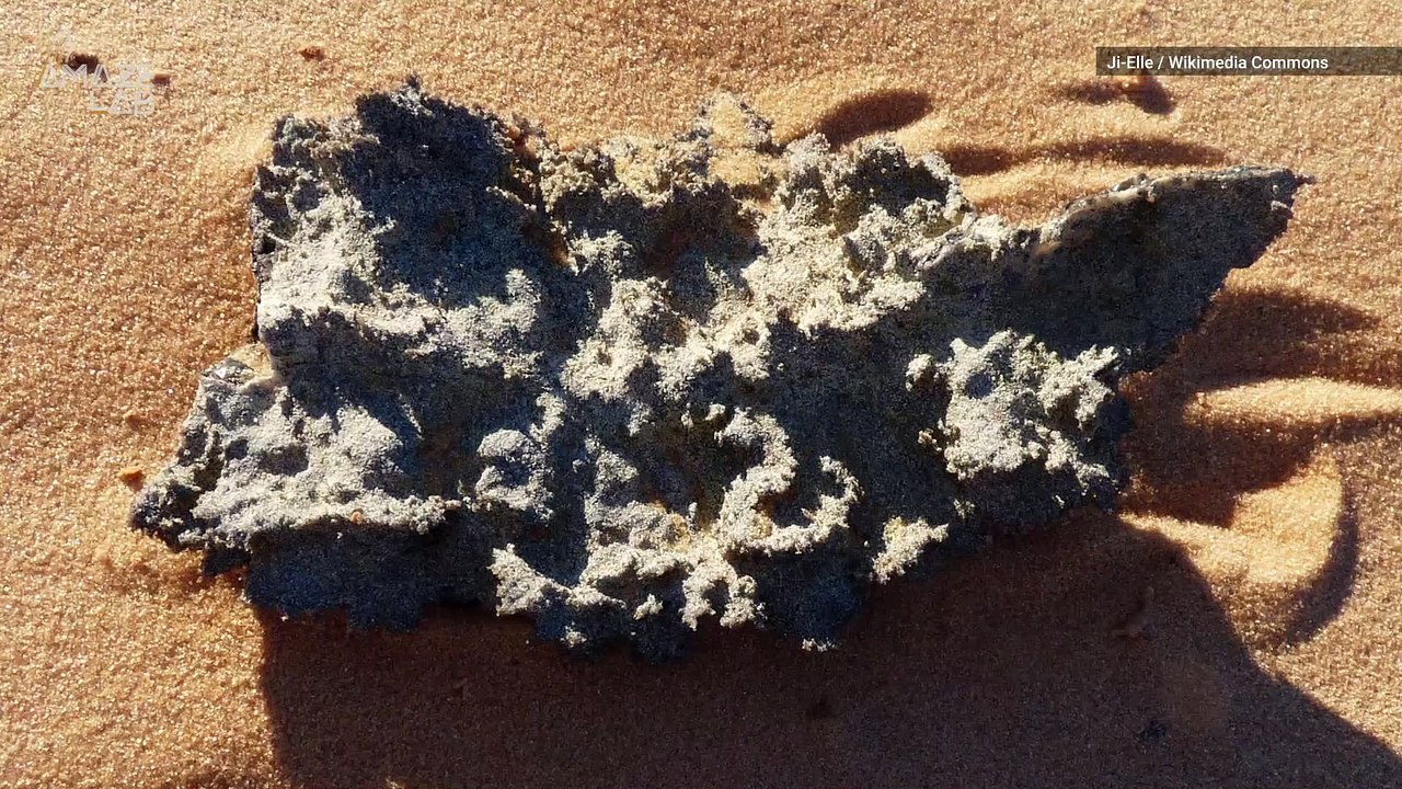Otherworldly Glass Sculptures are Formed When Lightning Strikes Sand