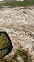 Dolu yağışı, yüzlerce dekar ekili alana zarar verdi