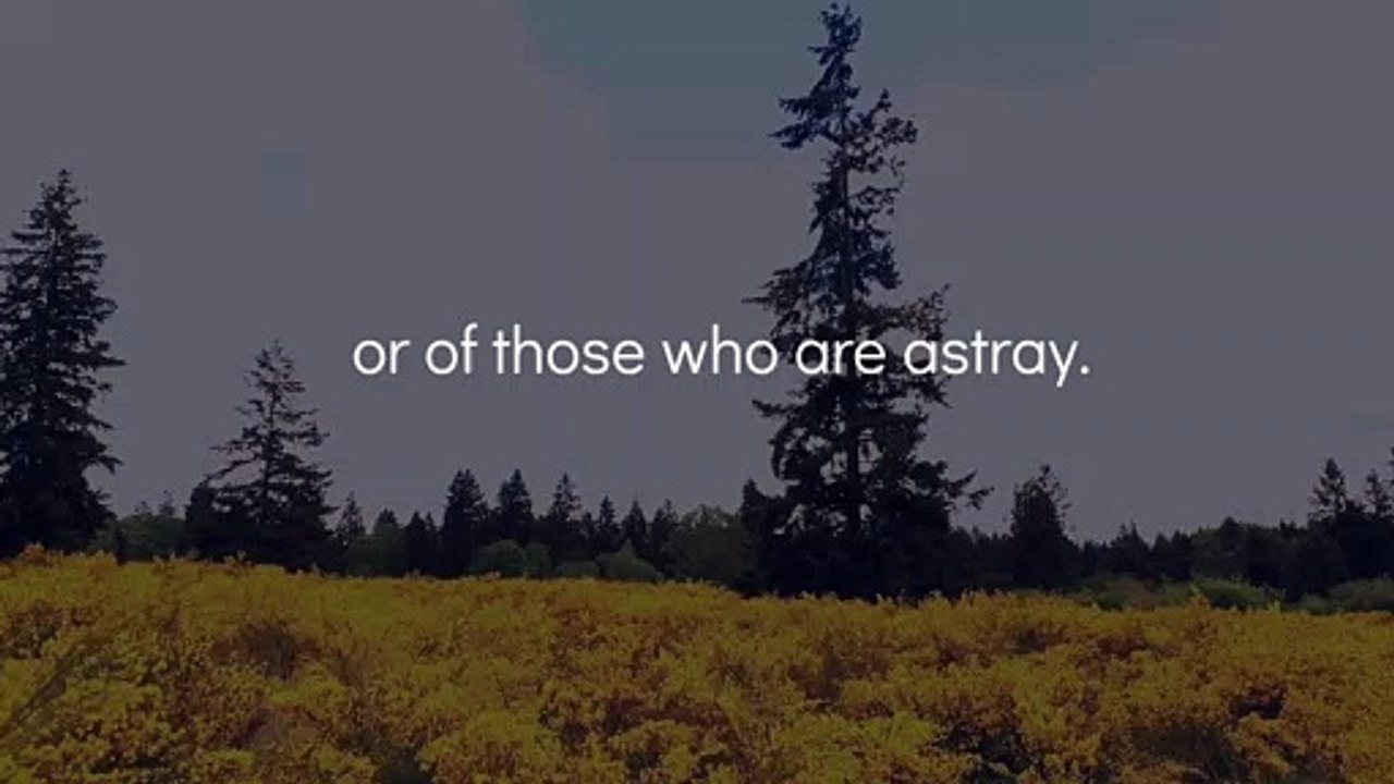 Find Tranquility,  Innerpeace while Listening to This   Watch till end