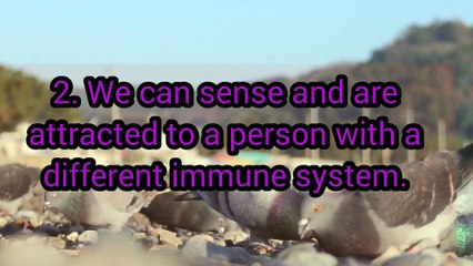 Interesting Facts About Love You Probably Don’t Know, According to Science