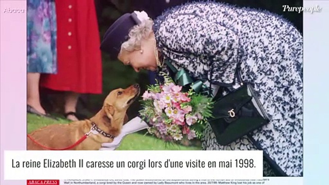 Elizabeth II gâtée : le prince Andrew, Beatrice et Eugenie lui offrent un cadeau... turbulent !