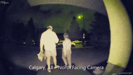 Something Streaks Across Calgary's North Sky