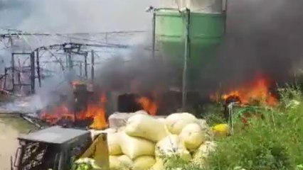 파주 양계장에서 불...닭 2천여 마리 폐사 / YTN