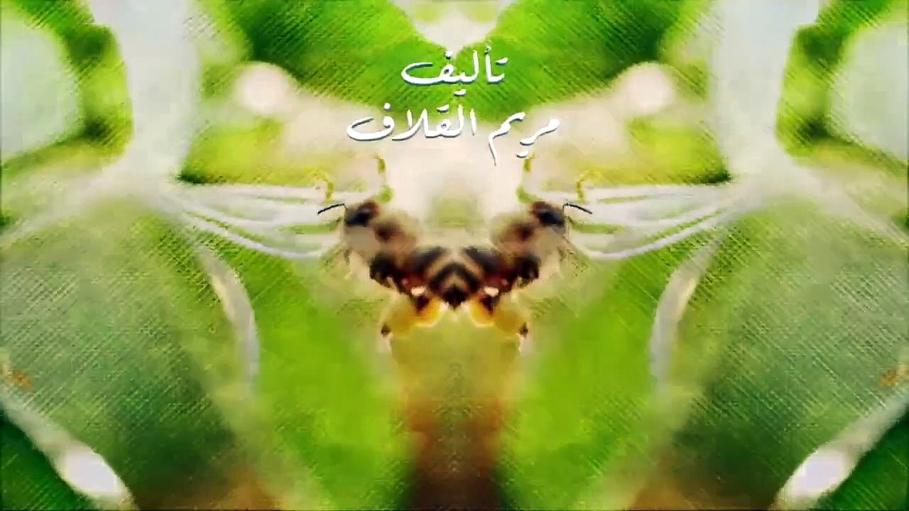 مسلسل نبض مؤقت الحلقة 11 الحادية عشر