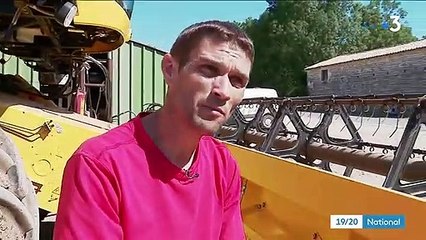 Deux-Sèvres : les moissons, une période propice aux incendies des cultures