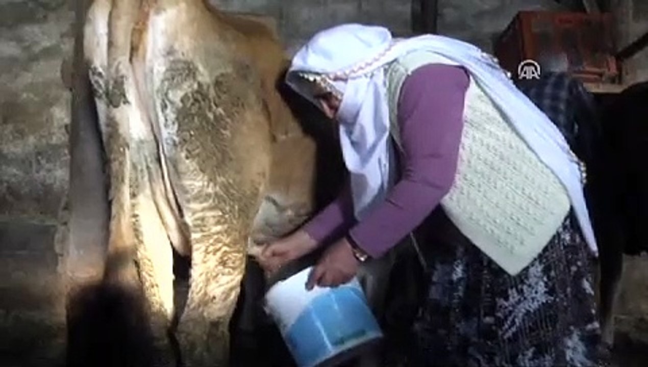 52 yıl sonra yeniden okula başladı