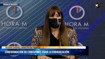 Conformación de comisiones para la erradicación