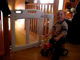 Petit coucou de Nicolas