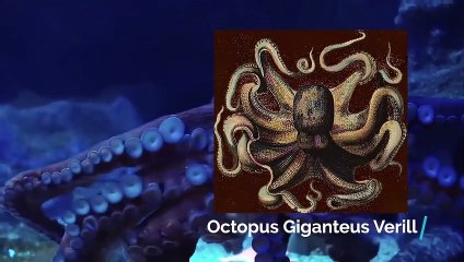 10 Mysterious Beach Discoveries