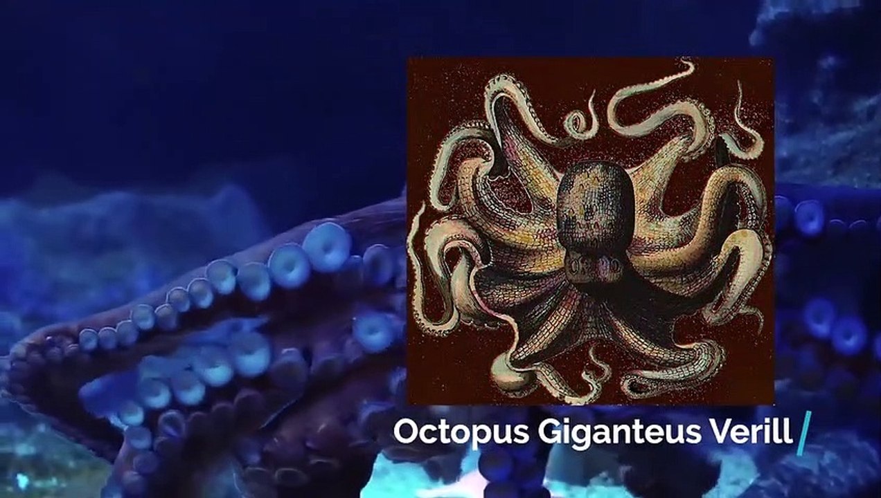 10 Mysterious Beach Discoveries