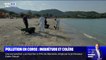Des boulettes d'hydrocarbures continuent d'arriver sur les plages de Corse