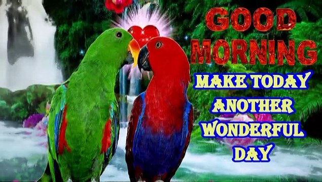 Good Morning Gif I good morning wishes | best good morning images, whatsapp, instagram dp photos, pictures | good morning videos | good morning status