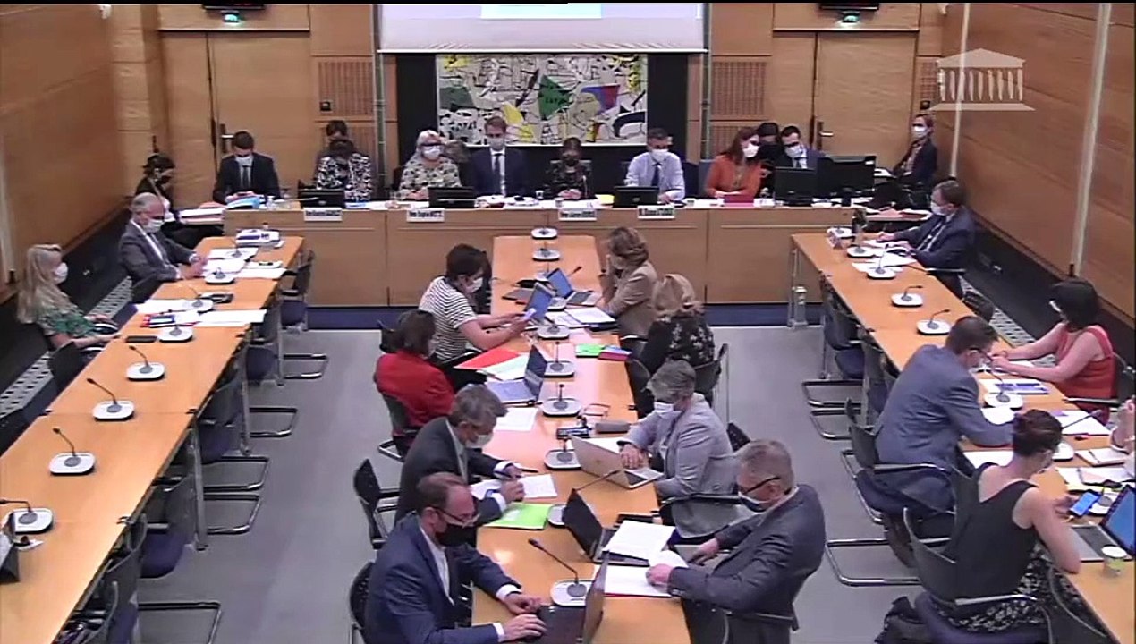 Commission des affaires culturelles :  Audition de Mme Roselyne Bachelot, ministre de la Culture, et discussion générale commune sur divers projets de loi - Lundi 14 juin 2021