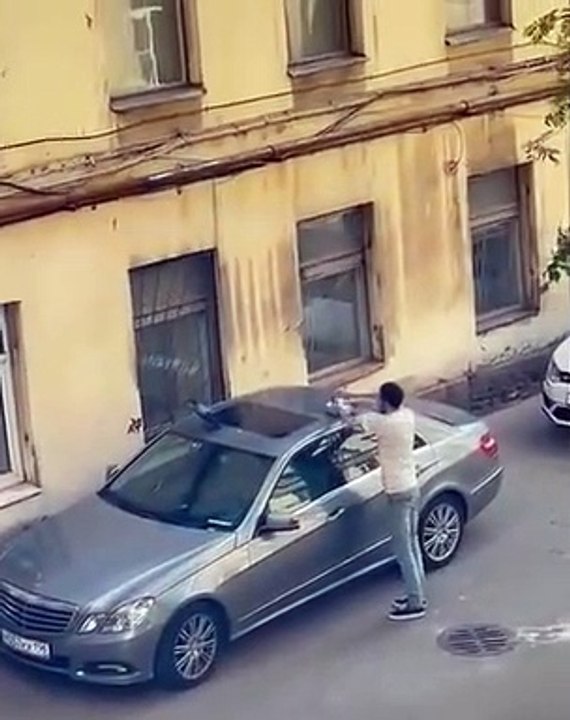 Ce conducteur retire une corneille posée sur le toit de sa voiture et va le regretter