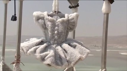 Elle plonge une robe dans la mer pendant 2 ans, ce qui en ressort est incroyable