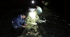 Son dakika haberi: Van Gölü'nde 5 ton 450 kilogram inci kefali ele geçirildi
