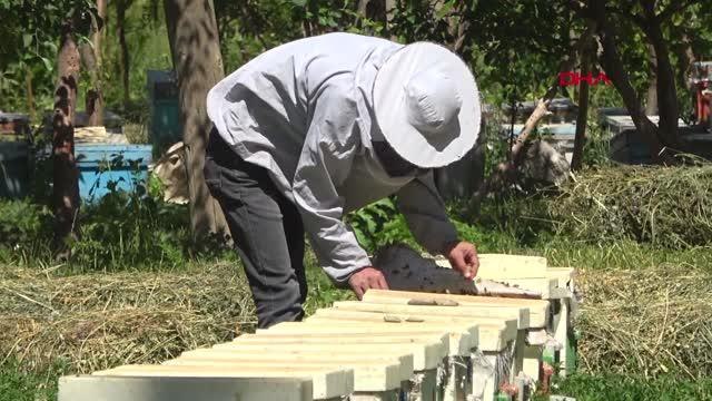 ARICILIKLA 3 DOKTOR, 3 ÖĞRETMEN, 2 MİMAR, 1 MÜHENDİS YETİŞTİRDİ