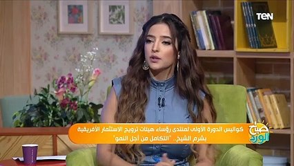 تعرف على إهم المجالات التي تهتم مصر بـ تبادل الاستثمار فيها مع الدول الإفريقية؟