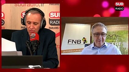 Jacques Ducerf : "On va vers un pillage du bois français par les chinois. On est en danger"