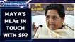Mayawati's MLAs in touch with SP, may cross over to Akhilesh camp: Reports | Oneindia News
