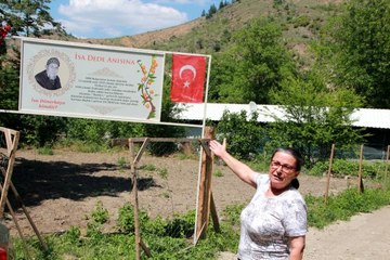 Tek fidan köyün geçim kaynağı oldu