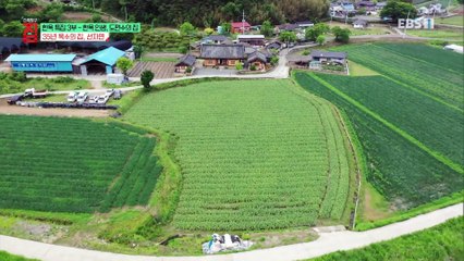 건축탐구- 집 - 특집, 한옥 3부- 한옥 인생, 도편수의 집_#001
