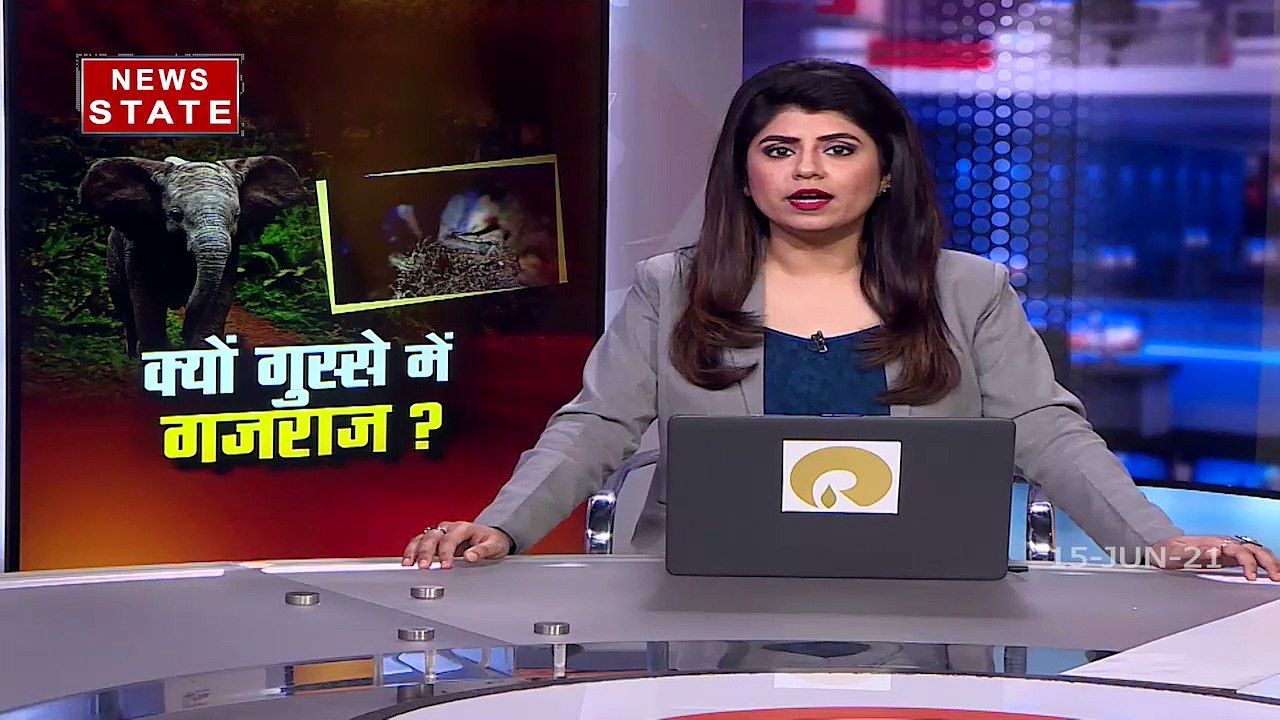 Madhya Pradesh: कांकेर में हाथियों का तांडव, हर जगह मचा है बवाल