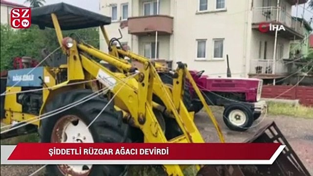 Şiddetli rüzgar ağacı devirdi, elektrik ve iletişim hatlarını kopardı