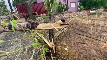 Şiddetli rüzgar ağacı devirdi, elektrik ve iletişim hatlarını kopardı