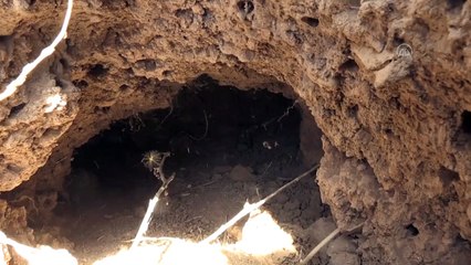 MARDİN - Duyarlı vatandaşın CİMER’e başvurusu sonrası Mardin’deki höyük koruma altına alındı