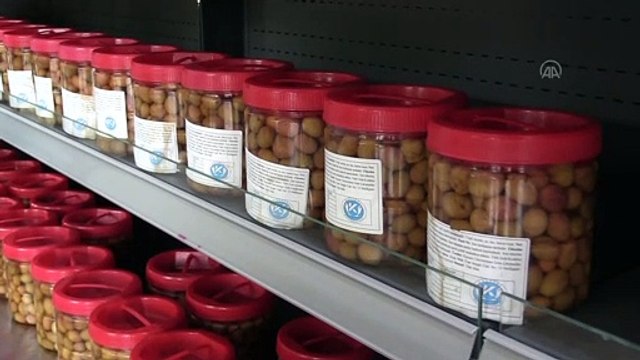 KAYSERİ - Erciyes Üniversitesinin sütleri, Kayseri Üniversitesinde katma değerli ürünlere dönüşüyor