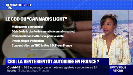 Pourquoi le CBD pourrait-il être légalisé en France à l'inverse du cannabis ? BFMTV répond à vos questions