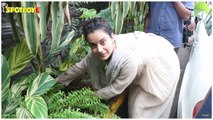 Kangana Ranaut Spotted Planting Trees Outside Her Office