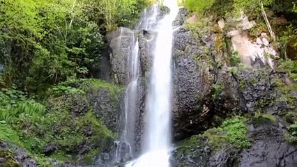 ORDU - Doğasıyla cezbeden Ordu'nun şelaleleri misafirlerini ağırlıyor