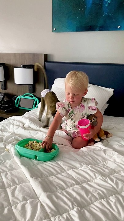 Monkey Hugs Her Human Best Friend