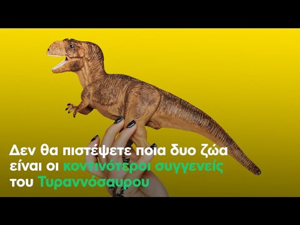 Δεν θα πιστέψετε ποια δυο ζώα είναι οι κοντινότ...