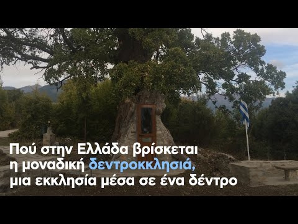 Πού στην Ελλάδα βρίσκεται η μοναδική δεντροκκλη...