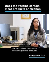 Does the vaccine contain meat or alcohol?