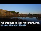 Θα μπορούσε να είναι τοπίο στην Κένυα, κι όμως είναι στην Ελλάδα