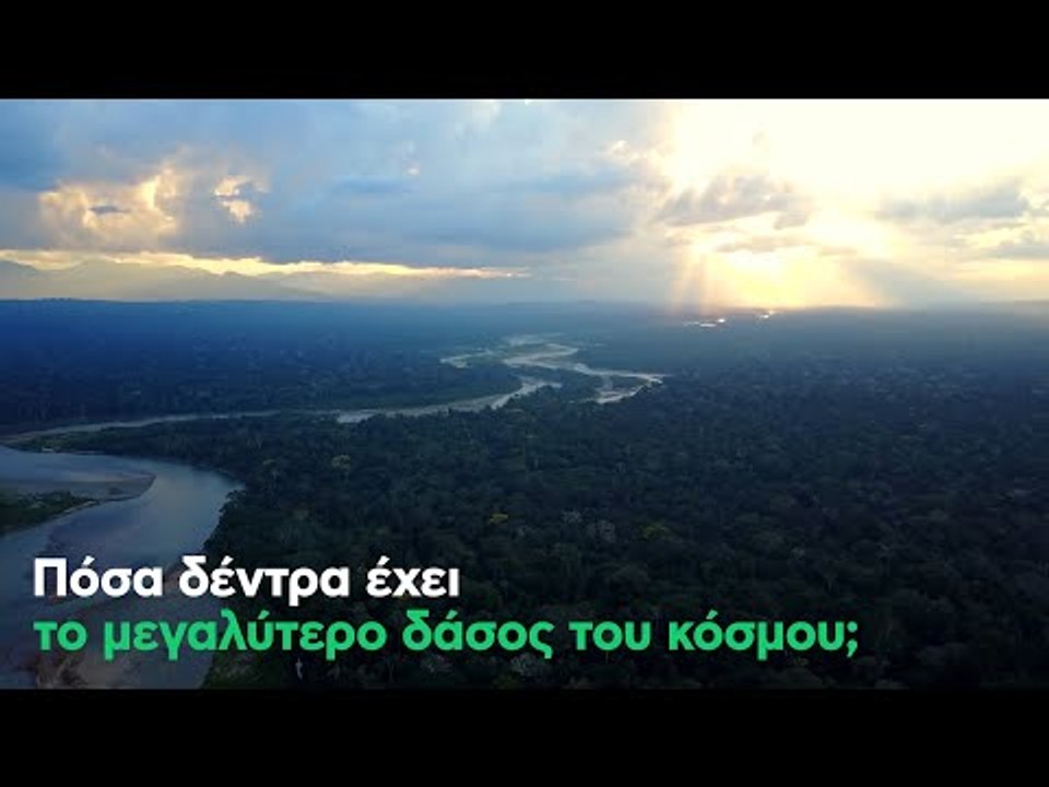 Πόσα δέντρα έχει το μεγαλύτερο δάσος του κόσμου;