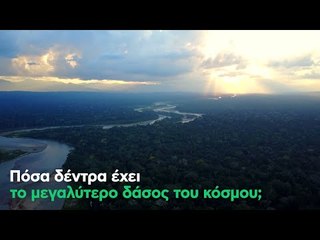 Πόσα δέντρα έχει το μεγαλύτερο δάσος του κόσμου;