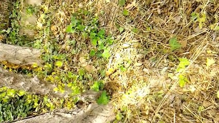 SESSION 6 B3 Izzo - theme SEXISME