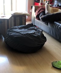 Doggo Curls up in Bed With Built-in Blanket