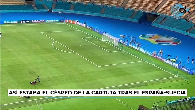 Así estaba el césped de La Cartuja tras el España-Suecia