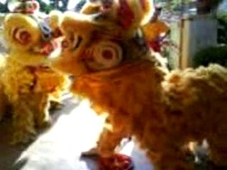 Lion Dance on CNY 2008