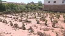 Fuenmayor, zona catastrófica por las tormentas