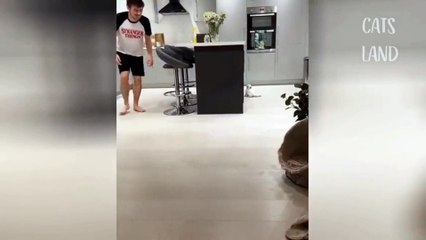 Must Watch New Funny Video 2021_Top New Comedy Video 2021_Try To Not Laugh challenge  #Fun compilation