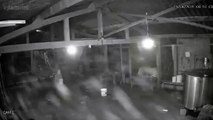 Vídeo capta imagens de Lázaro Barbosa em fazenda localizada em Edilândia