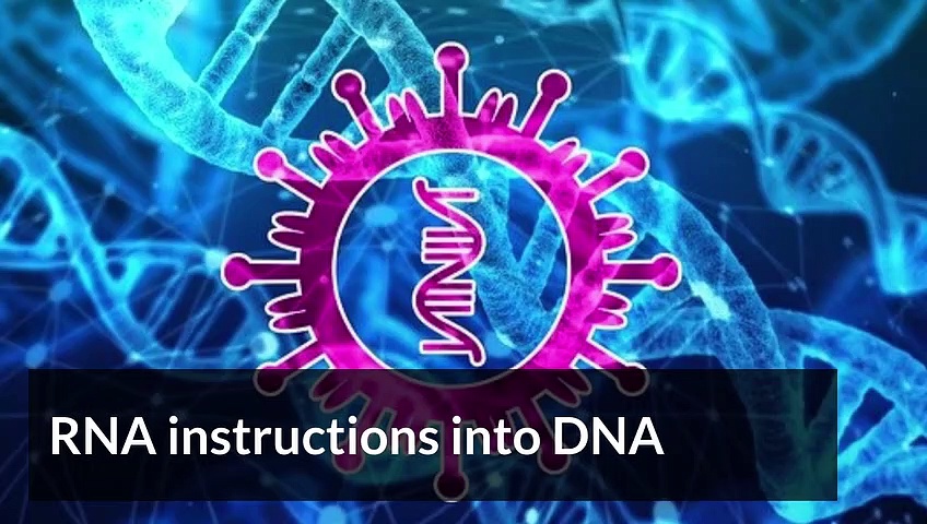 Science & Technology