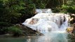 Soothing Sounds of waterfall, Relaxing Music with Water Sound Meditation, Bird sounds